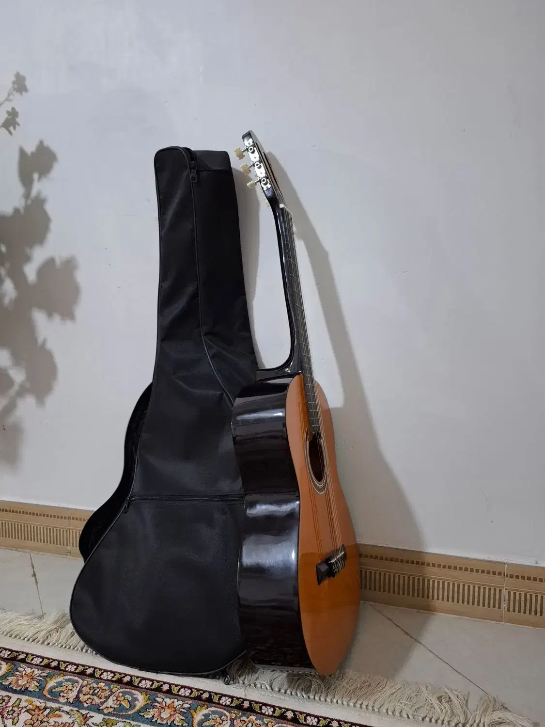 گیتار|گیتار، بیس، امپلیفایر|قوچان, |دیوار