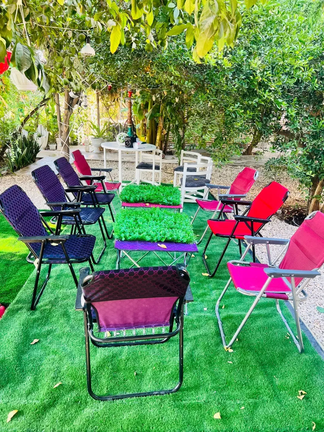 باغ پذیرایی|اجارهٔ کوتاه‌مدت ویلا و باغ|بندر گناوه, |دیوار