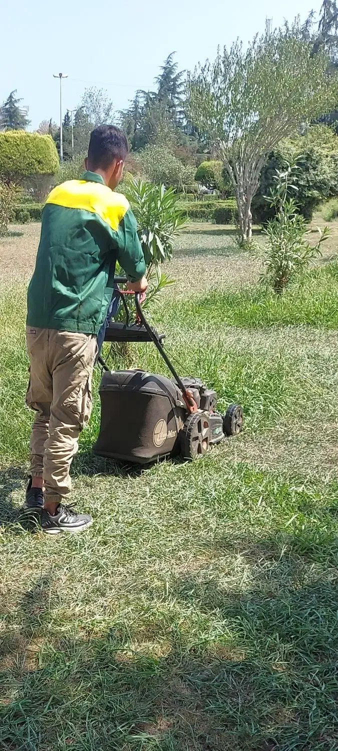 خدمات فضای سبز از صفر تا صد|خدمات باغبانی و درختکاری|بندر انزلی, گلسرخ|دیوار