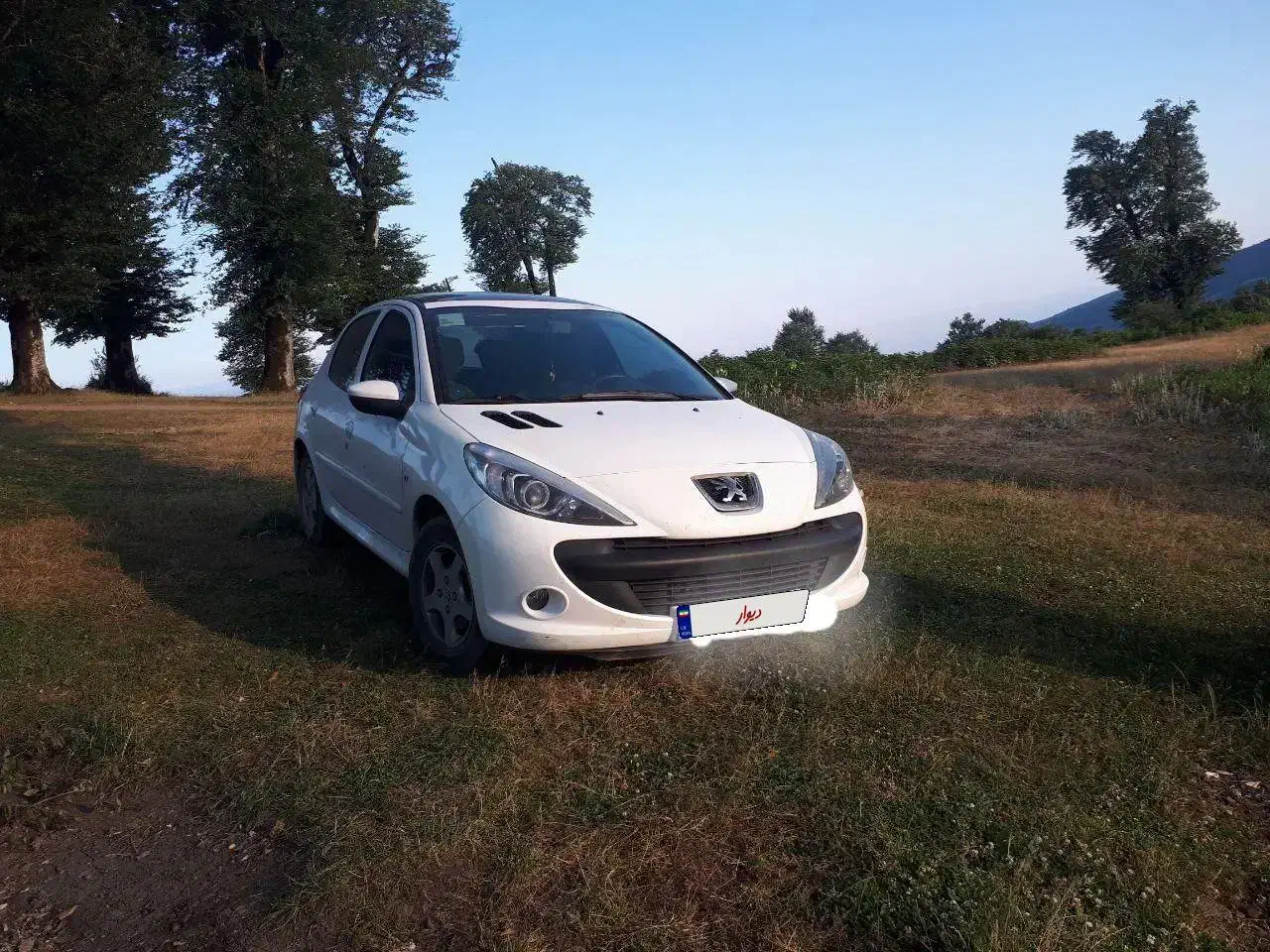 ماشین ۲۰۷|خودرو سواری و وانت|رشت, منظریه|دیوار