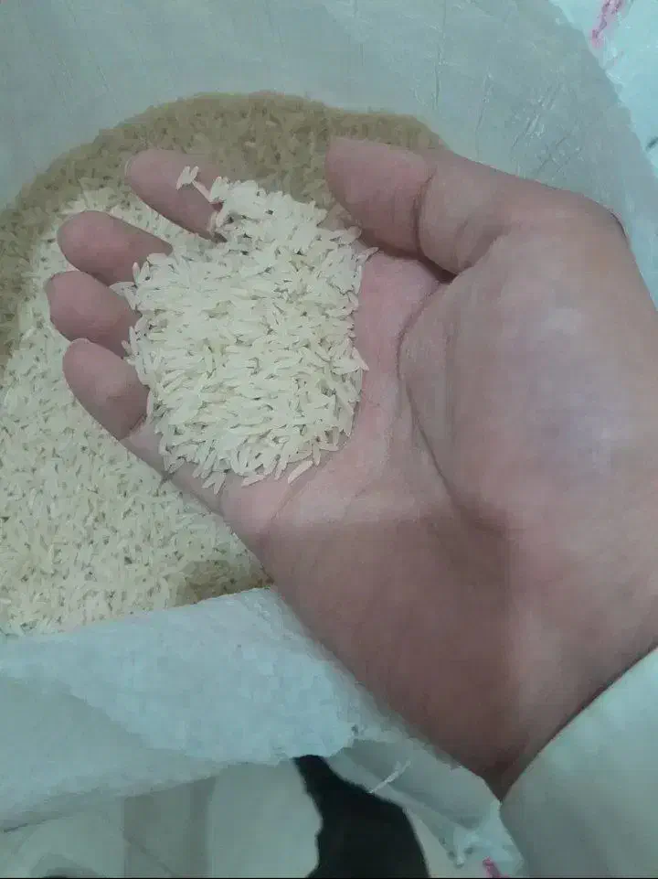 برنج طارم هاشمی درجه یک|خوردنی و آشامیدنی|ایرانشهر, |دیوار