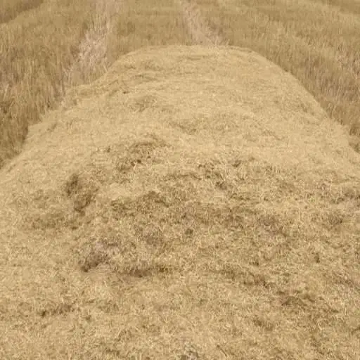 کاه گندم فله ای|عمده‌فروشی|دهدشت, |دیوار