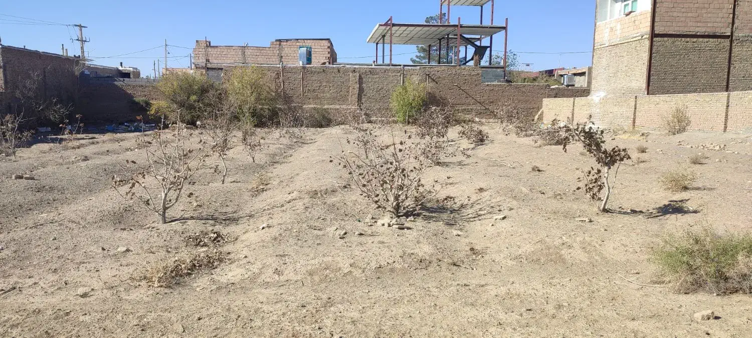 «فروش یک قطعه زمین خاص برای افراد خاص»|فروش زمین و ملک کلنگی|سبزوار, ایزی شهر|دیوار