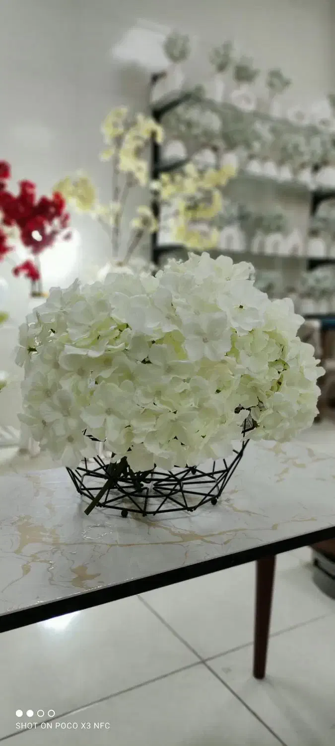 گلدان|حراج|بندرعباس, |دیوار