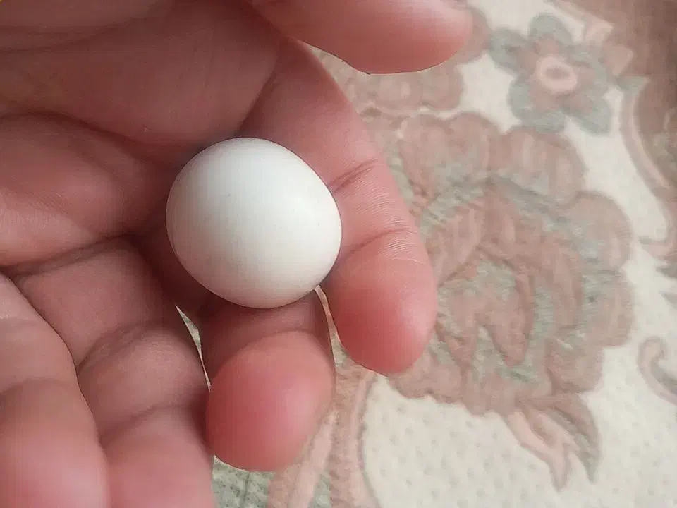 سنگ الماس آسیاب|جواهرات|محمدیه-قزوین, |دیوار