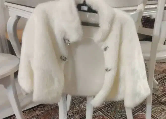 پالتو سفید مجلسی|لباس|قم, انسجام|دیوار