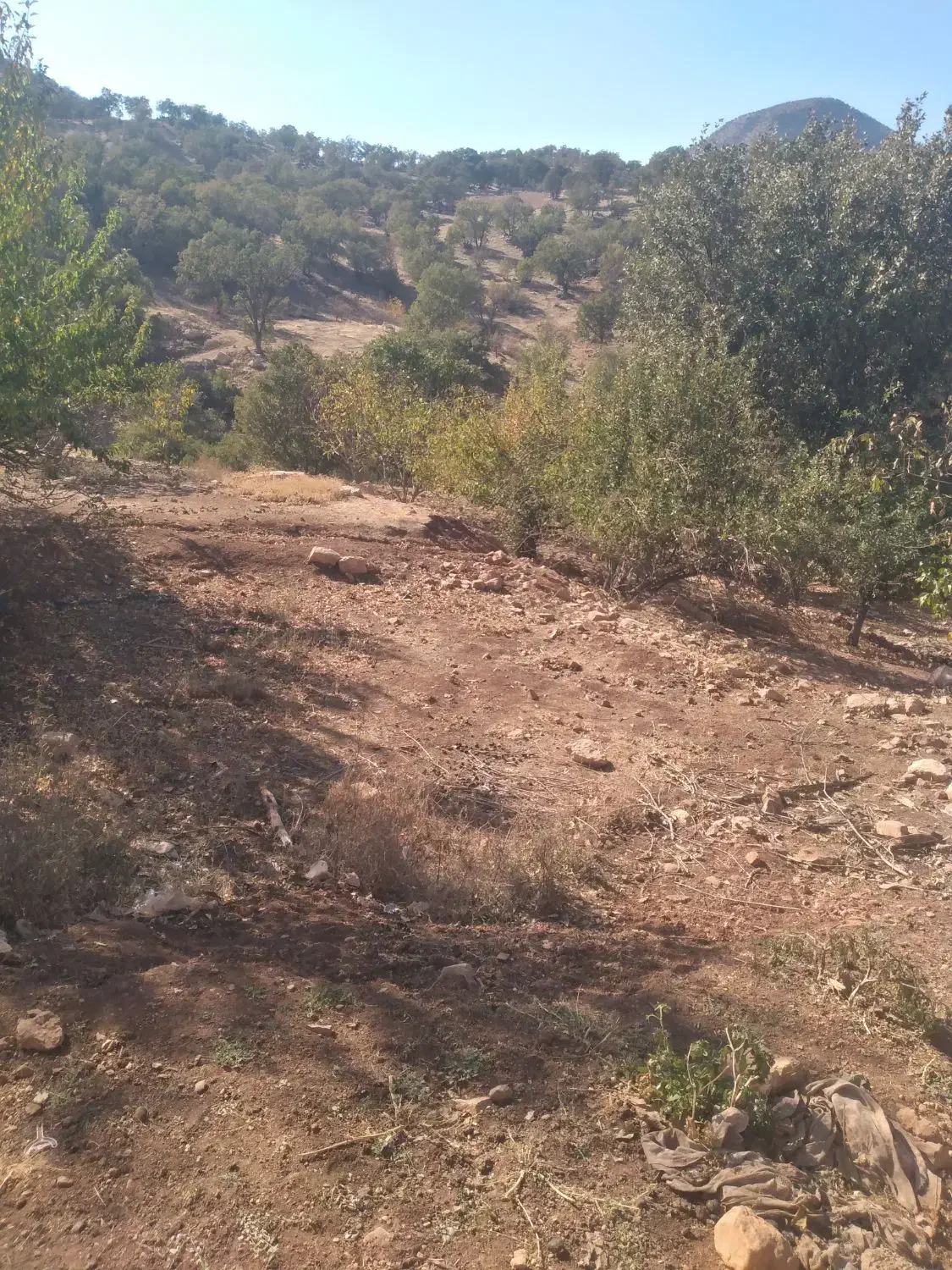 باغ ویلا تاف|فروش خانه و ویلا|مشهد, خرم آباد|دیوار