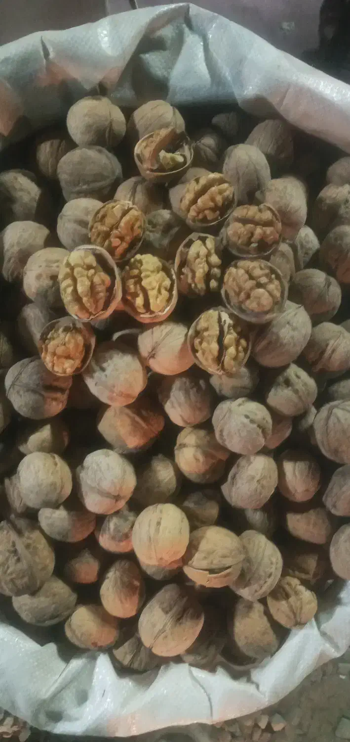 گردو درجه یک|خوردنی و آشامیدنی|فردیس, شهرک شهید حسینی|دیوار