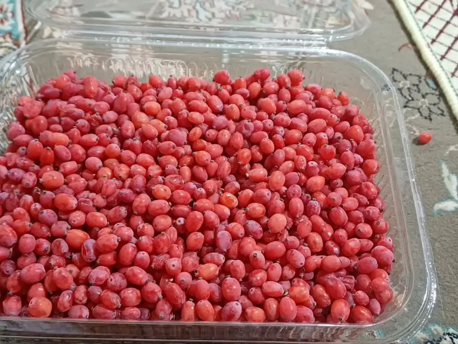 زرشک دانه شده با دست بدون دم وبرگ کیلویی240|خوردنی و آشامیدنی|تهران, ترمینال جنوب|دیوار