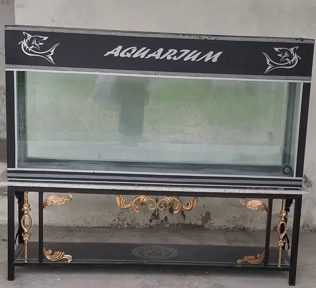 آکواریوم طرح هخامنشی با شیشه ده میل و میز ....|ماهی|دابودشت, |دیوار