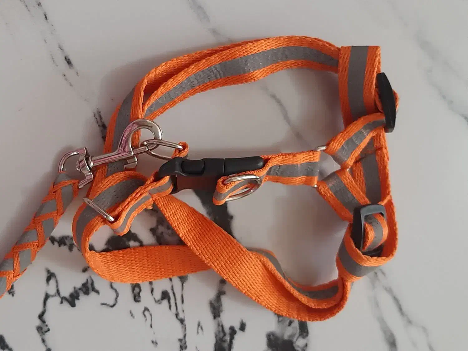 قلاده گربه .گربه.طبعیت گردی گربه|لوازم جانبی حیوانات|نسیمشهر, |دیوار