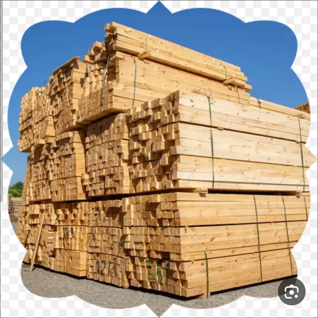 فروش انواع الوار نراد روسی.حلب.رابیتس|عمده‌فروشی|لاهیجان, لیل|دیوار