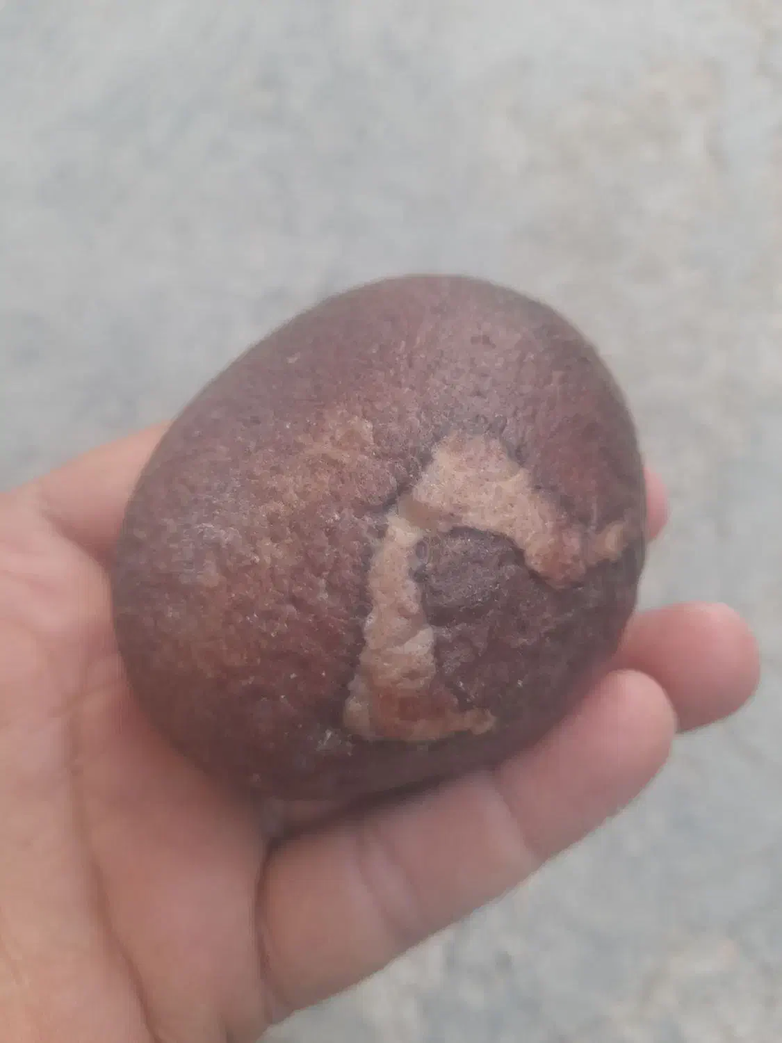 مریخی|کلکسیون اشیاء عتیقه|تهران, ایرانشهر|دیوار