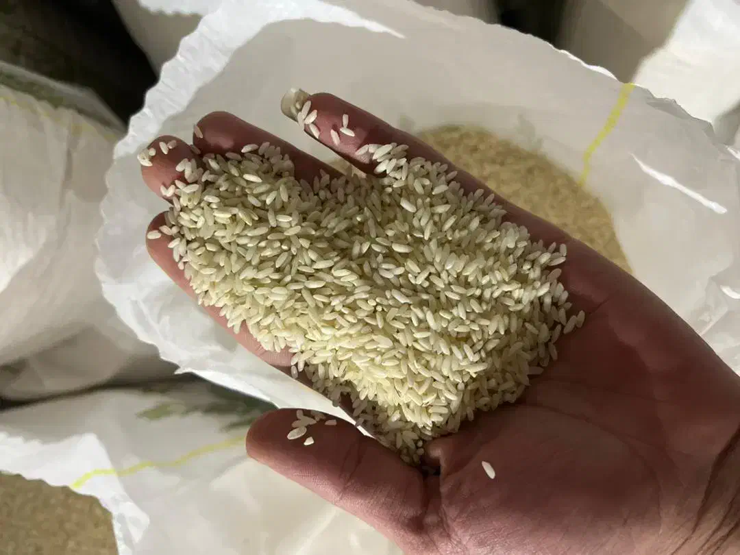 برنج عنبربو درجه یک معطر امسالی سبز و سفید|خوردنی و آشامیدنی|اهواز, بنکداری|دیوار