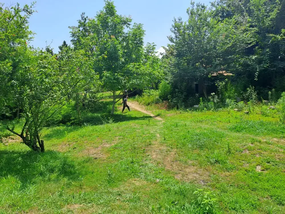 7 هزار متر مناسب ساخت شهرک ویلایی|فروش زمین و ملک کلنگی|لاهیجان, آهندان|دیوار