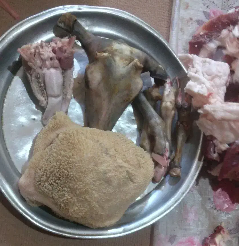 کله  پاچه|خوردنی و آشامیدنی|ایلام, |دیوار