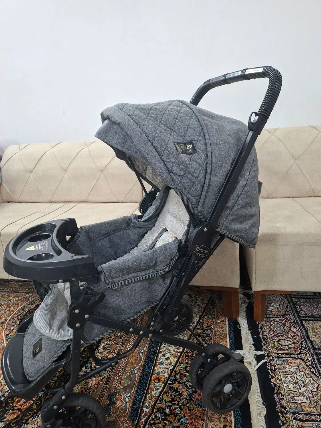 کالسکه دلیجان|کالسکه و لوازم جانبی|قم, انسجام|دیوار