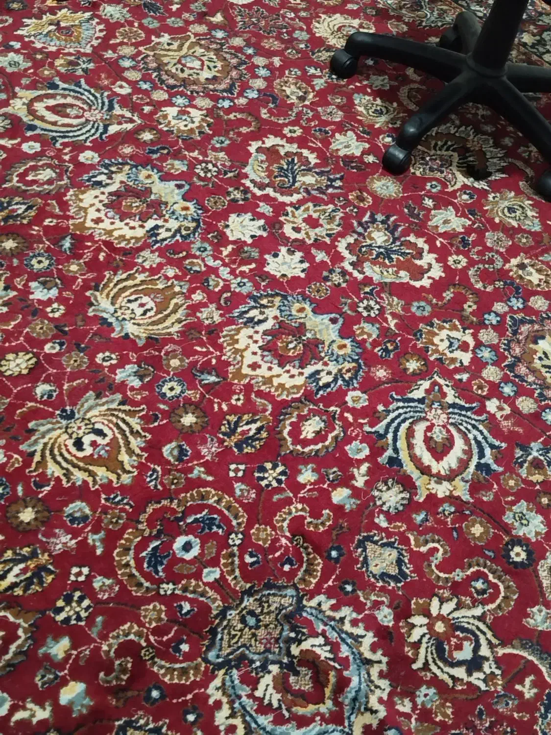 فرش 12متری|فرش|شوط, |دیوار