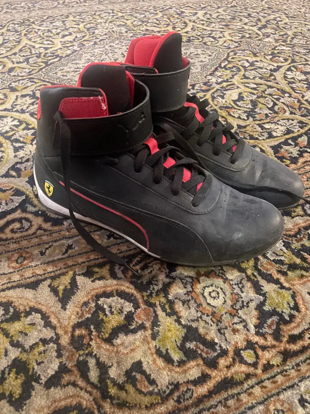کفش اسپرت Puma x Ferrari|کیف، کفش، کمربند|شیراز, درکی|دیوار