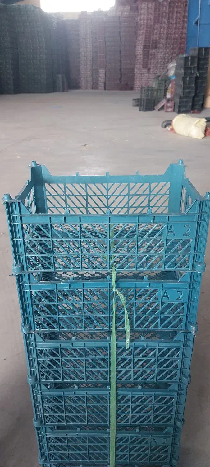 تولید و فـروش انواع سبد حمال ۲۰کیلویی موادیک|ظروف نگهدارنده، پلاستیکی، یک‌بارمصرف|هشتگرد, هشتگرد قدیم|دیوار