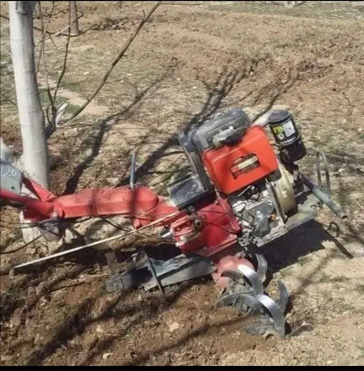 تیلرزدن باغ وگلخانه|خدمات باغبانی و درختکاری|نجف‌آباد, شهرک صنعتی نجف آباد|دیوار