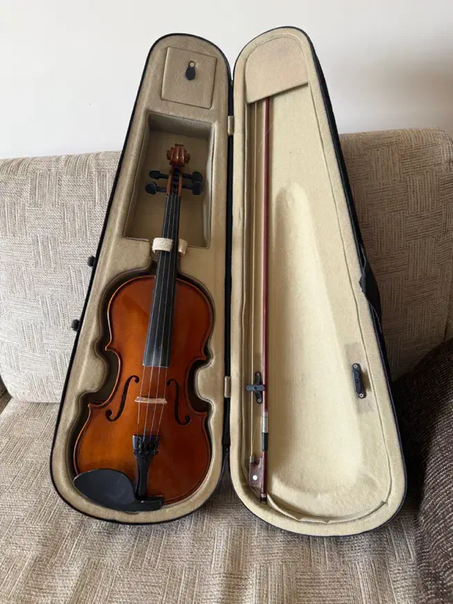 ویالون دست ساز سالم|ویولن|اصفهان, چرخاب|دیوار