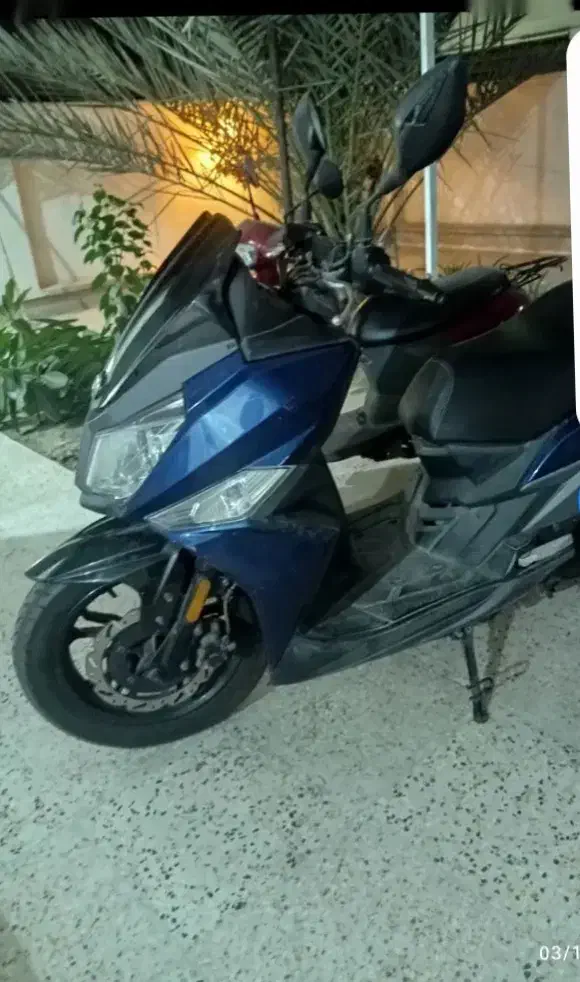 فروشگاه موتورسیکلت طاها بندرلنگه|موتورسیکلت|بندرلنگه, |دیوار