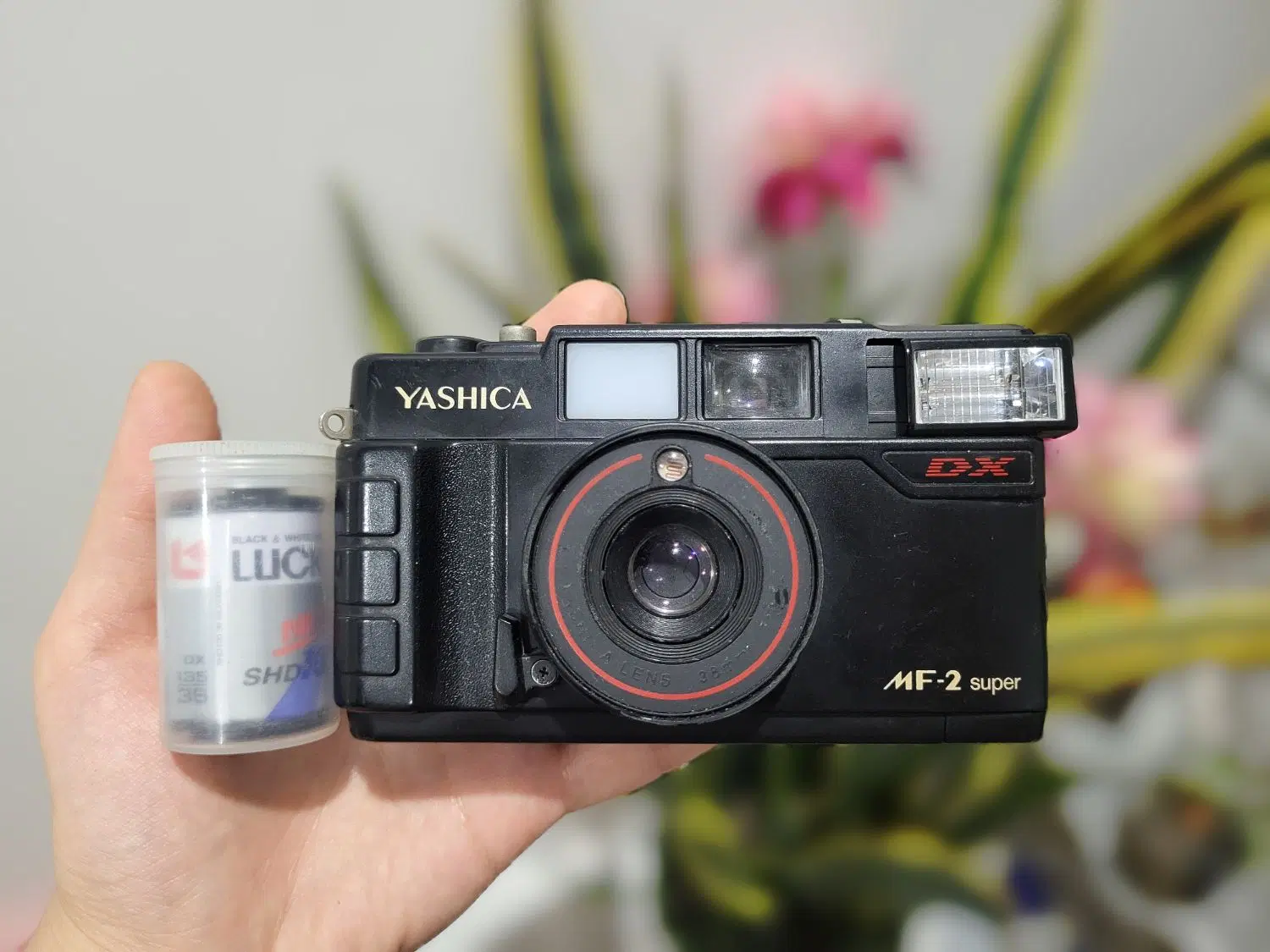 دوربین آنالوگ Yashica MF-2 Super DX اصل ژاپن سالم|دوربین عکاسی و فیلمبرداری|تهران, دبستان|دیوار