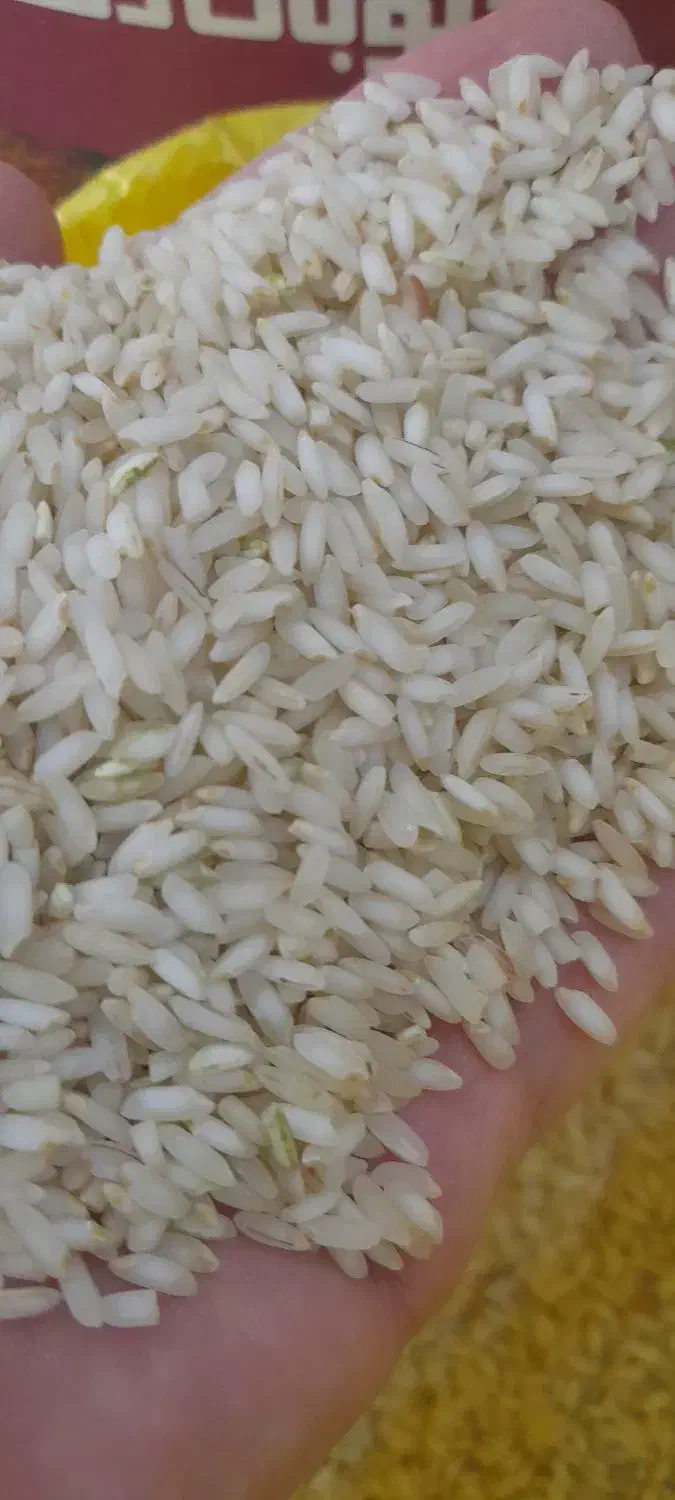 برنج عنبربو معطر اعلاء به قیمت عمده زیر قیمت|خوردنی و آشامیدنی|اصفهان, رزمندگان|دیوار