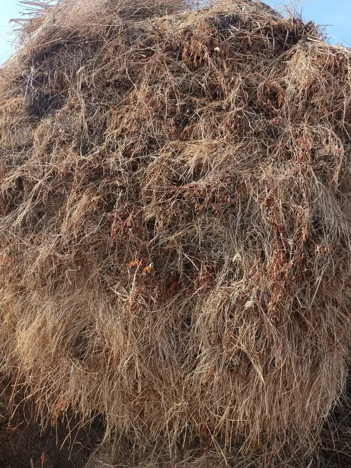 علف|لوازم جانبی حیوانات|ایواوغلی, |دیوار