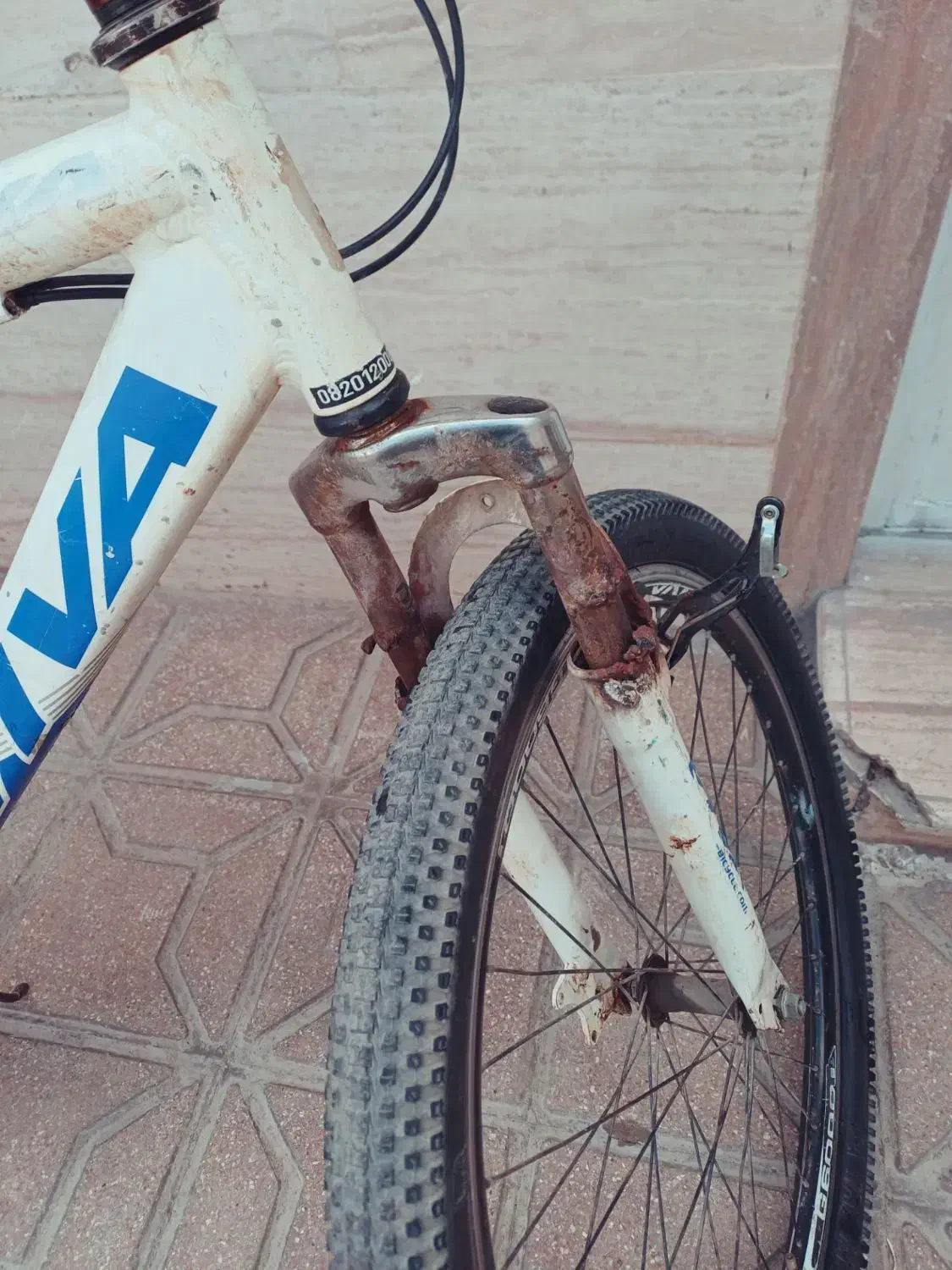 دوچرخه ویوا|دوچرخه، اسکیت، اسکوتر|مشهد, کلاته برفی|دیوار