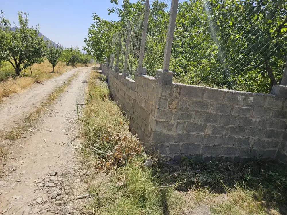 فروش باغ ۱۰۰۰ متری سی سخت|فروش زمین و ملک کلنگی|یاسوج, |دیوار