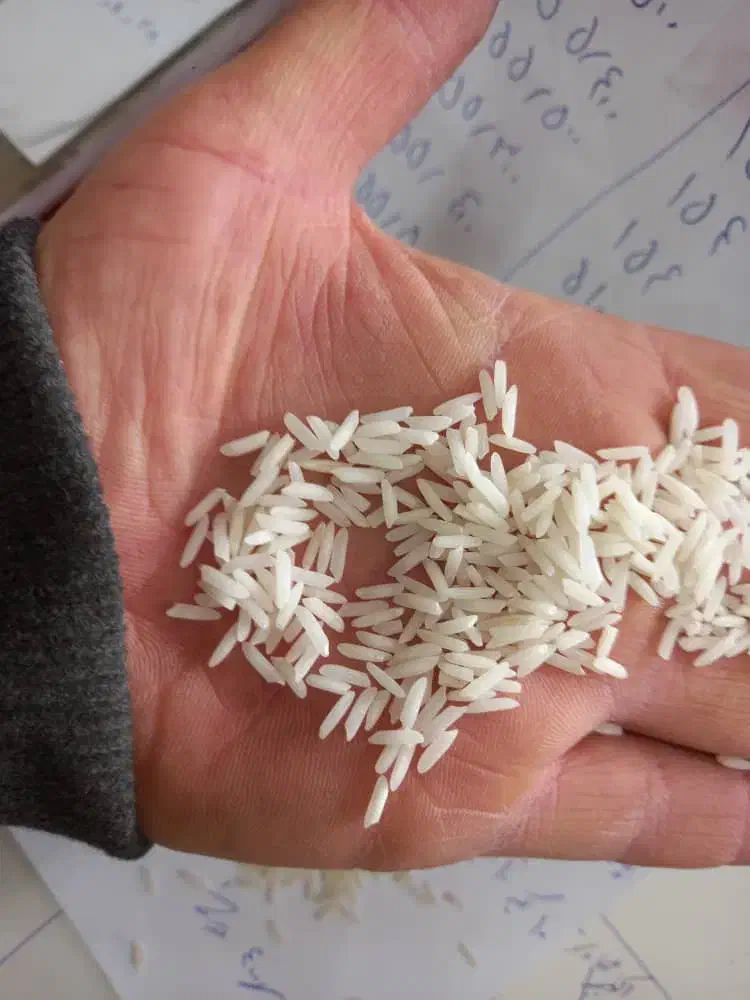 برنج اعلا|خوردنی و آشامیدنی|رشت, استادسرا|دیوار