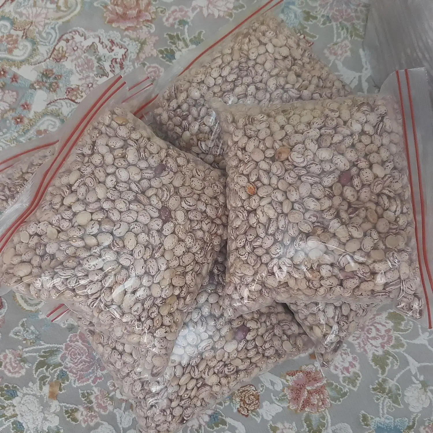 لوبیای چهارمحال بختیاری|عمدهفروشی|تهران, مدائن|دیوار