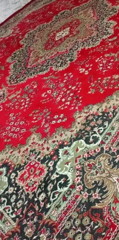 فرش|فرش|زاهدان, |دیوار