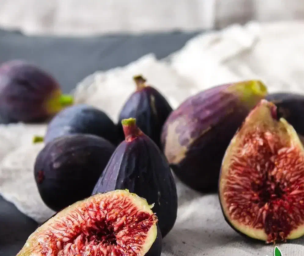 آغاز پیشفروش نهال انجیر گلابی درشت|خدمات باغبانی و درختکاری|خمینی‌شهر, |دیوار