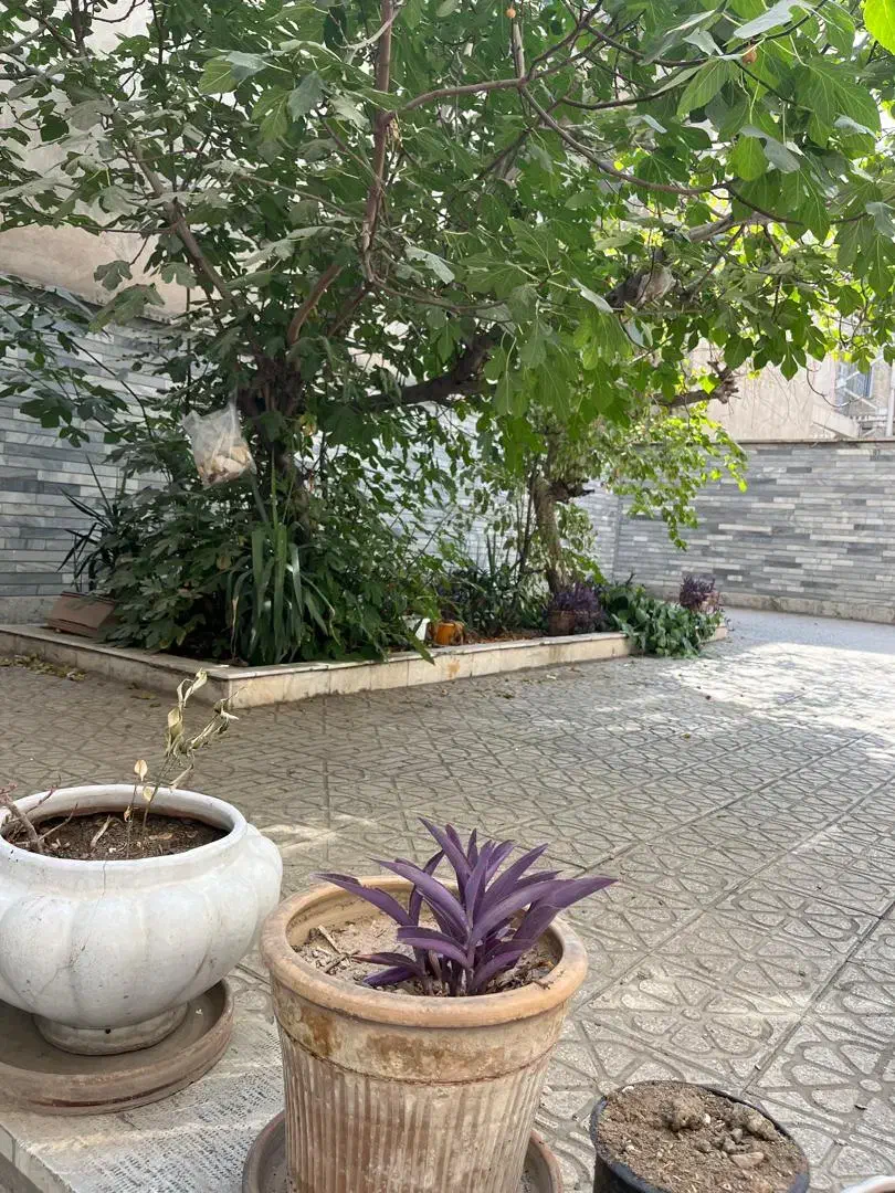 * ۹۰ متر خواجه نصیر خ آمل *