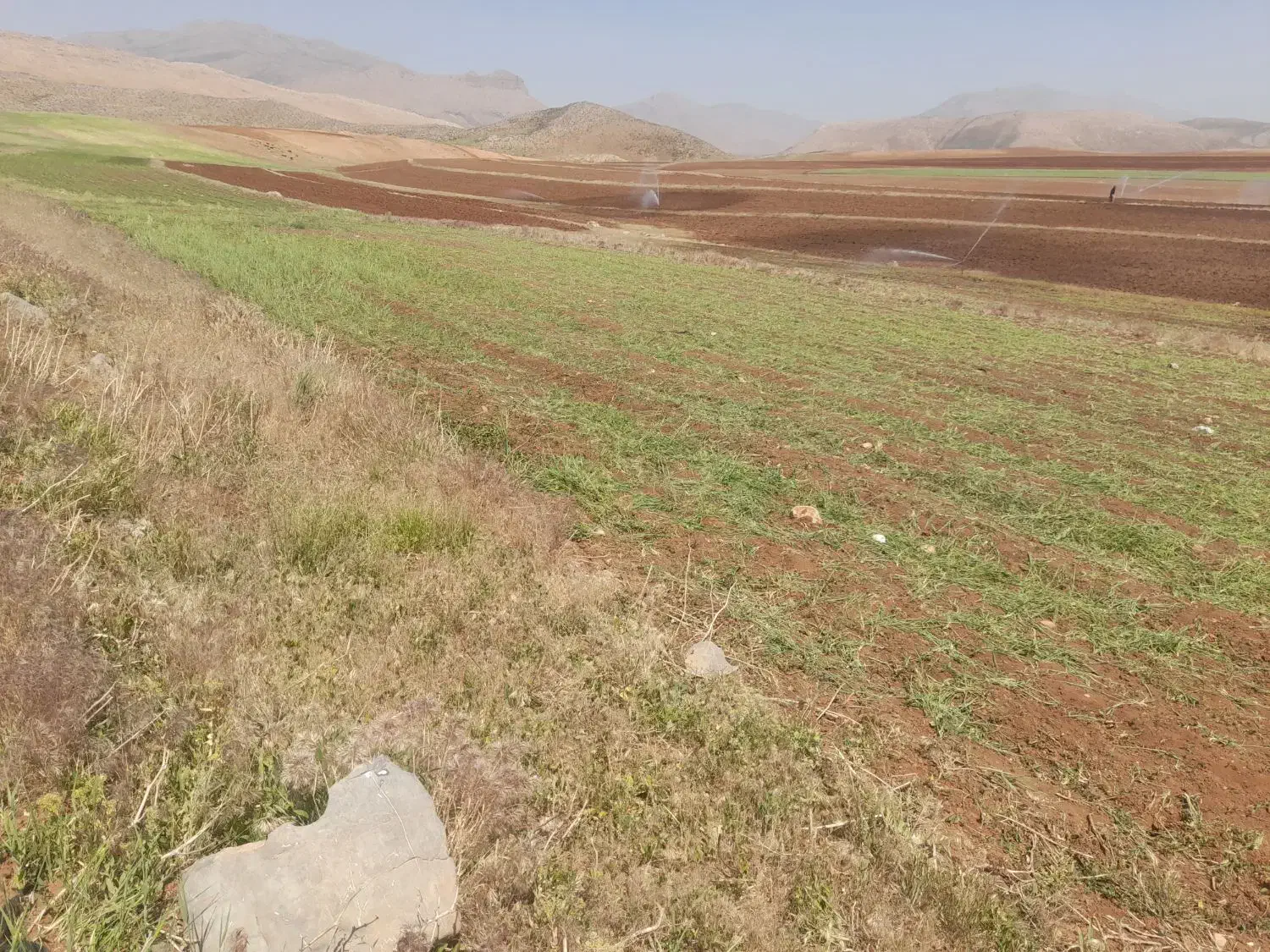 زمین کشاورزی آبی بارانی کوهرنگ|فروش زمین و ملک کلنگی|کوهرنگ, |دیوار