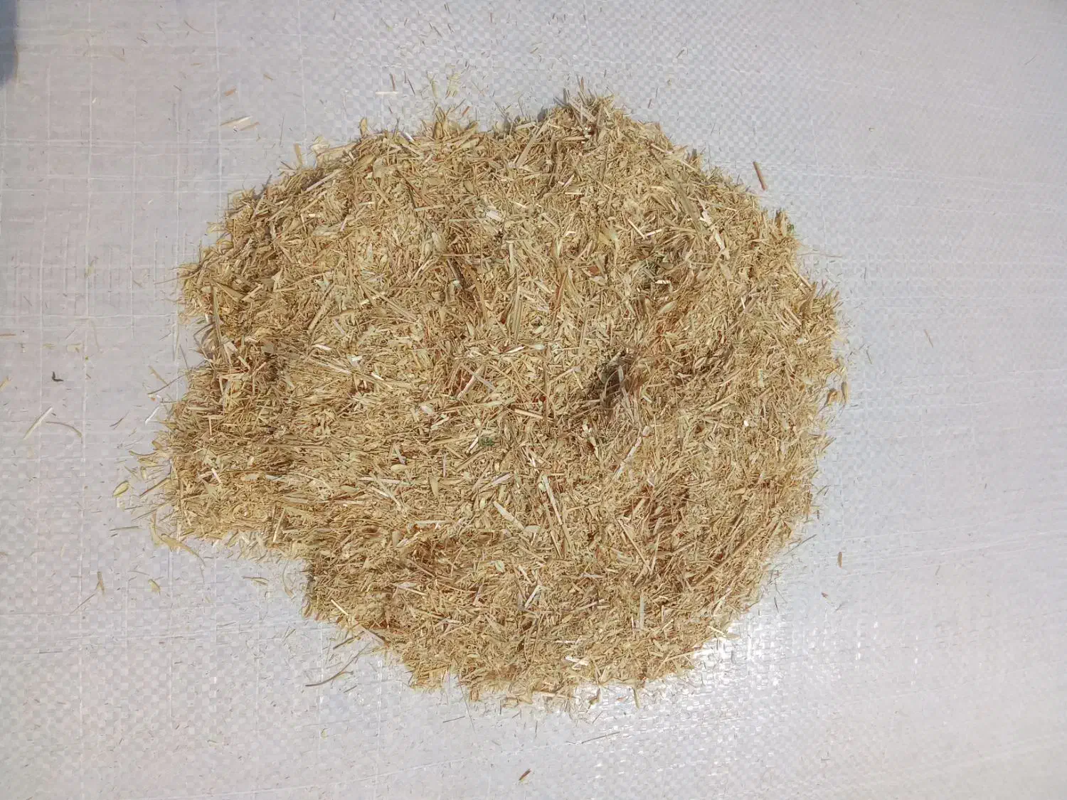 کاه گندم لوکس سرخوشه دیم گونی شده درجه یک همدان|لوازم جانبی حیوانات|یزد, |دیوار