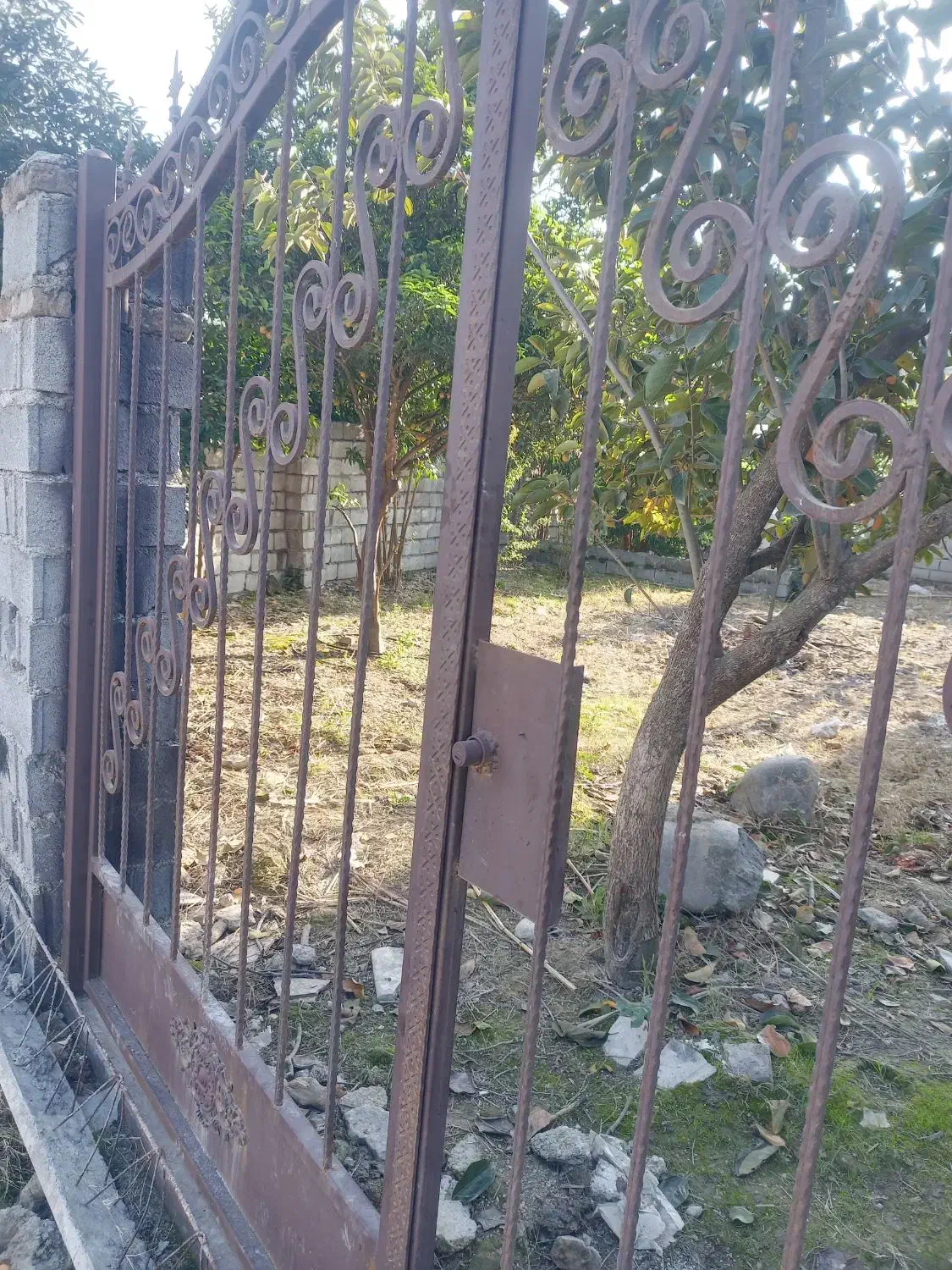 فروش زمین  مسکونی سند دار|فروش زمین و ملک کلنگی|دابودشت, |دیوار