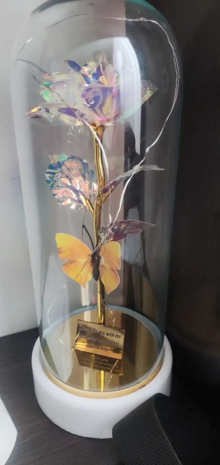 باکس گل رز نو|گل مصنوعی|قزوین, |دیوار