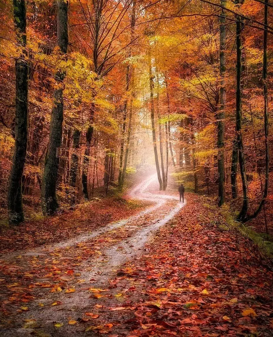 تور ریلی شمال|تور و چارتر|مرودشت, بیست متری بیمارستان|دیوار