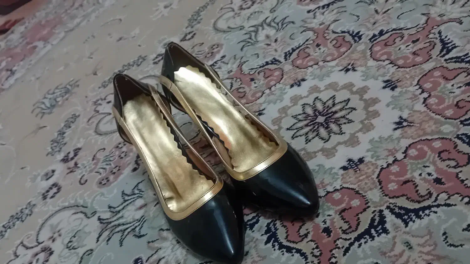 کفش مجلسی|کیف، کفش، کمربند|زنجان, |دیوار