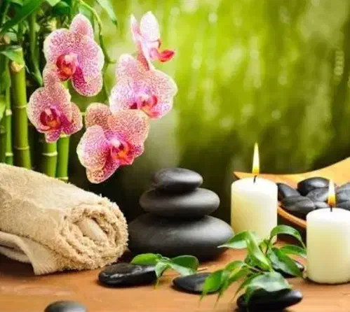 راهنمایی پیاده روی|فعالیت داوطلبانه تحقیقاتی|مشهد, زمرد|دیوار