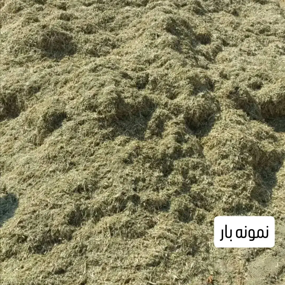 کاه لوبیا|لوازم جانبی حیوانات|رباطکریم, رباطکریم|دیوار