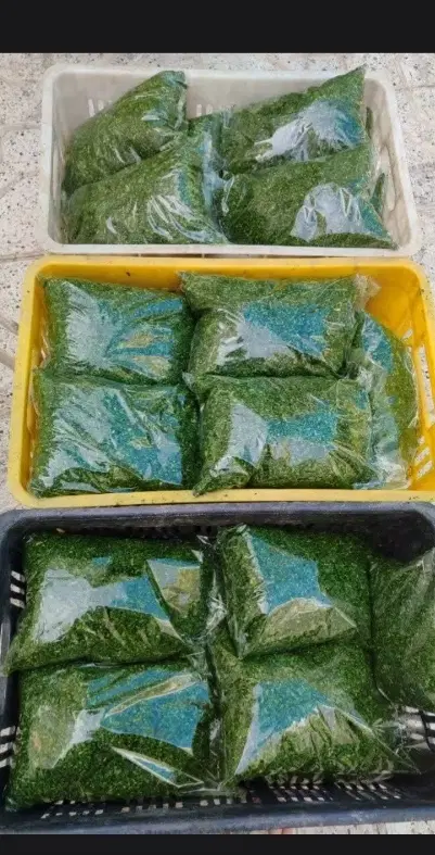 سبزی|خوردنی و آشامیدنی|مشهد, موعود|دیوار