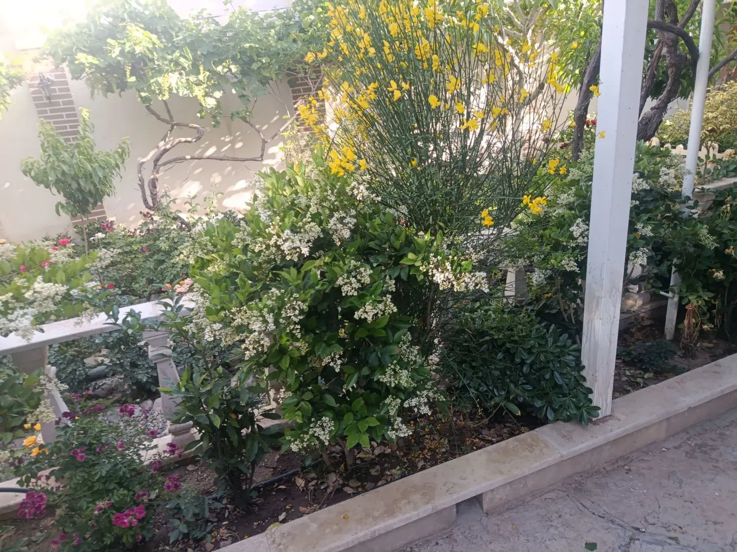 آبیاری قطره ای هوشمند ودستی|خدمات باغبانی و درختکاری|قم, میرزائیه|دیوار