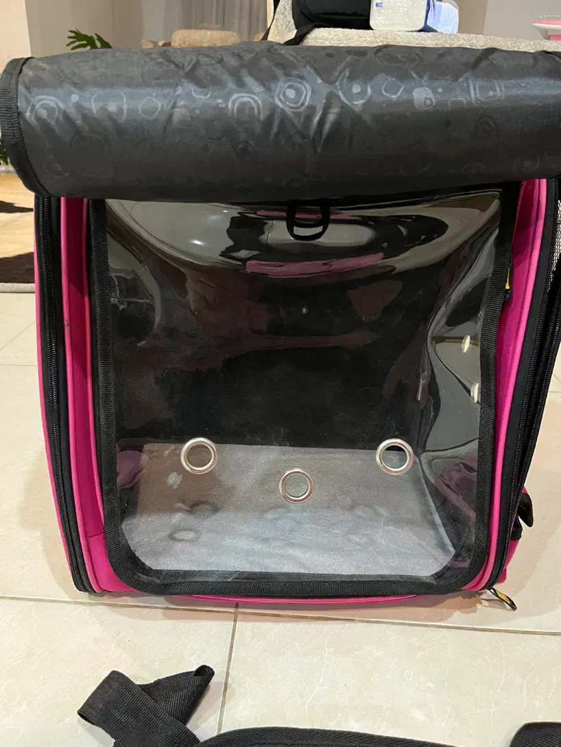 کوله پت|لوازم جانبی حیوانات|سلمانشهر, |دیوار