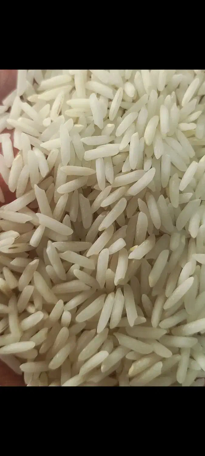 بهترین برنجهای شمال|خوردنی و آشامیدنی|اردبیل, |دیوار