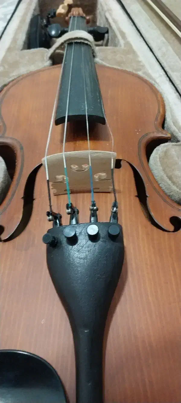 ویالون|ویولن|تهران, جردن|دیوار